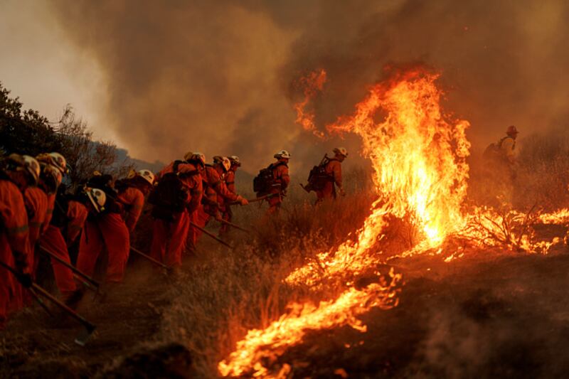 wildfire