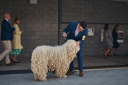 Westminster Kennel Club